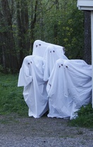 Aaveet kaikki irti on!